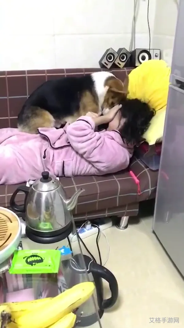 吃完饭一会嘴发苦(每次吃完饭都感觉嘴淡)