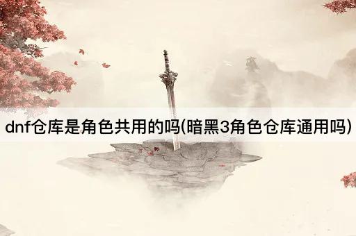 dnf仓库是角色共用的吗(暗黑3角色仓库通用吗)