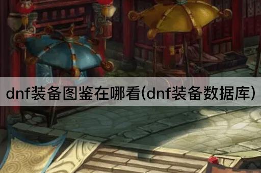 dnf装备图鉴在哪看(dnf装备数据库)