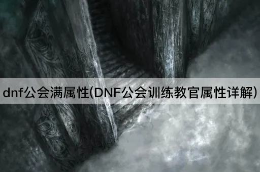 dnf公会满属性(DNF公会训练教官属性详解)