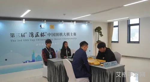 丁浩大棋士比赛(丁浩阿虎比武视频)