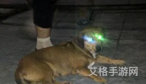 最新氪金是什么意思网络用语(什么叫氪金)