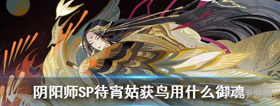 sp姑获鸟和玉藻前养谁(sp姑获鸟值得培养吗)