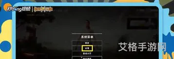 最新绝地求生画面设置在哪找(绝地求生按键设置技巧)