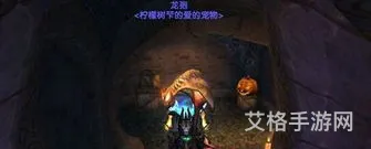 魔兽世界猎人宠物(60怀旧服宠物技能一览表)