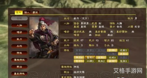 三国志13威力加强版新手攻略(三国志13新手入门全攻略详解)
