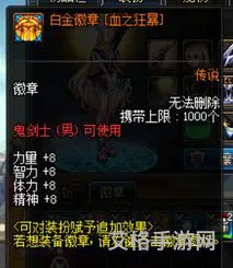 dnf白金徽章技能怎么调整(白金徽章不是自己技能怎么办)