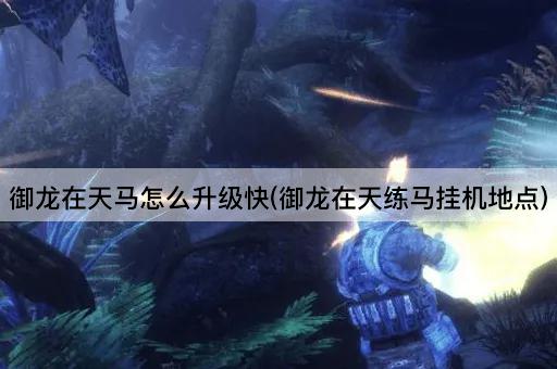御龙在天马怎么升级快(御龙在天练马挂机地点)