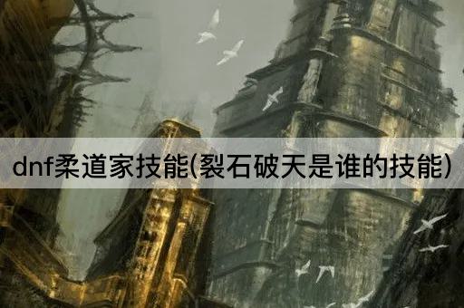 dnf柔道家技能(裂石破天是谁的技能)