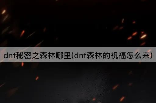 dnf秘密之森林哪里(dnf森林的祝福怎么来)
