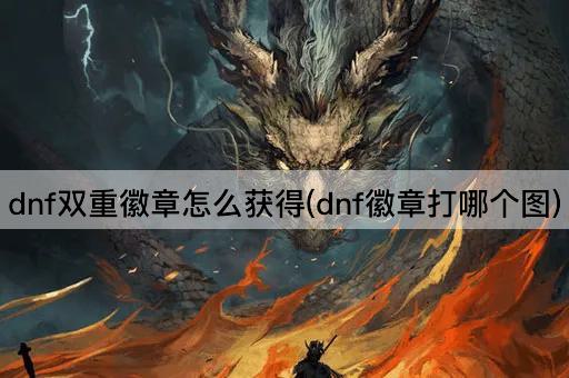 dnf双重徽章怎么获得(dnf徽章打哪个图)