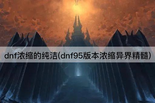 dnf浓缩的纯洁(dnf95版本浓缩异界精髓)