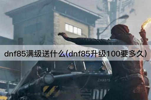 dnf85满级送什么(dnf85升级100要多久)