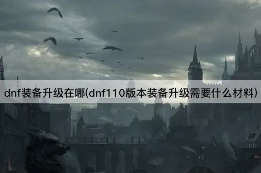 dnf装备升级在哪(dnf110版本装备升级需要什么材料)