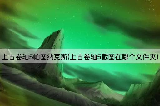 上古卷轴5帕图纳克斯(上古卷轴5截图在哪个文件夹)