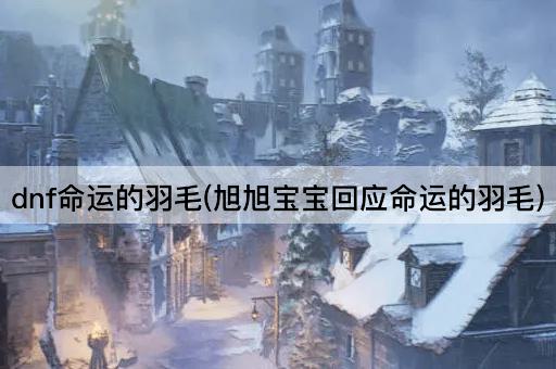 dnf命运的羽毛(旭旭宝宝回应命运的羽毛)