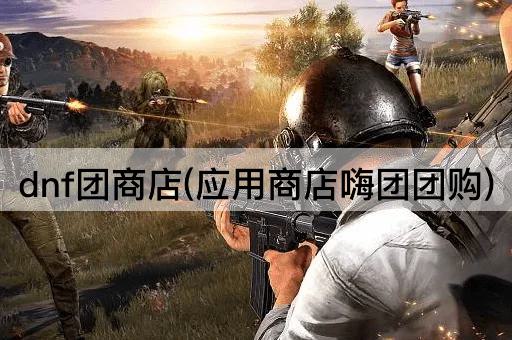 dnf团商店(应用商店嗨团团购)