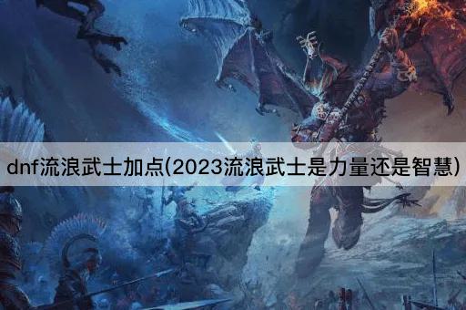dnf流浪武士加点(2023流浪武士是力量还是智慧)
