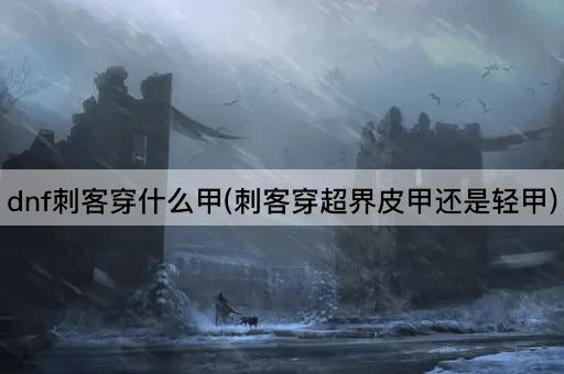 dnf刺客穿什么甲(刺客穿超界皮甲还是轻甲)
