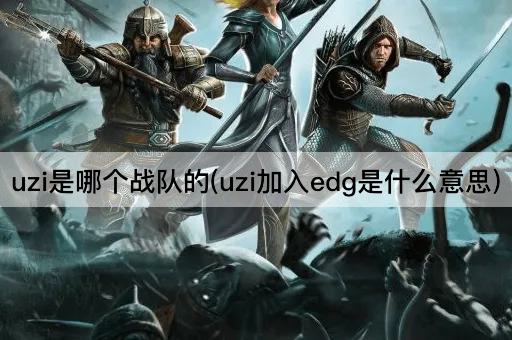 uzi是哪个战队的(uzi加入edg是什么意思)