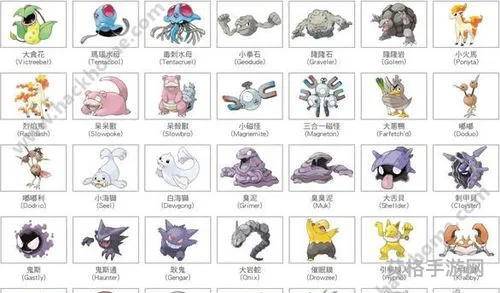 pokemon go精灵图鉴(精灵宝可梦go图鉴)