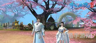 倩女飞升任务八卦阵(倩女幽魂飞升攻略)