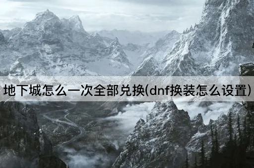 地下城怎么一次全部兑换(dnf换装怎么设置)