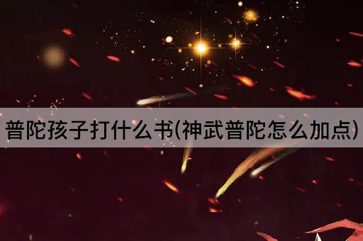 普陀孩子打什么书(神武普陀怎么加点)